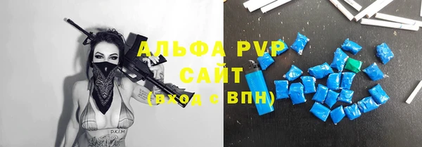 мдпв Новозыбков