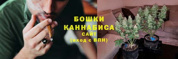 мдпв Новозыбков