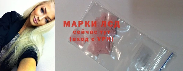 мдпв Новозыбков