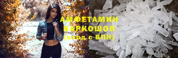 мдпв Новозыбков