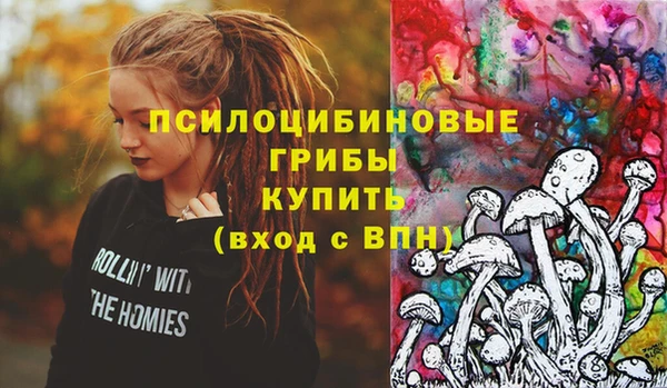 mdpv Новодвинск