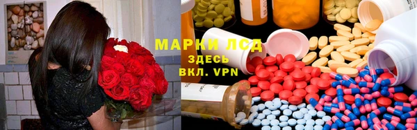 mdpv Новодвинск