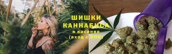 mdpv Новодвинск