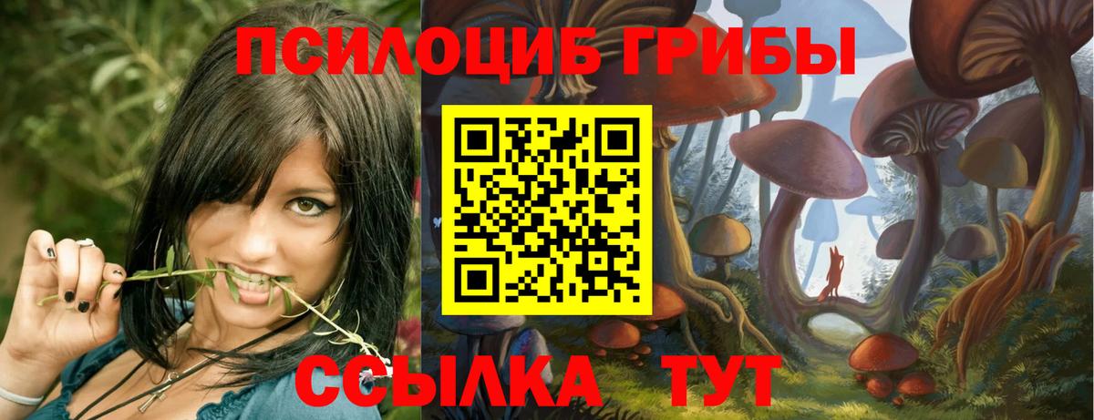 Псилоцибиновые грибы Magic Shrooms  Североморск  Галлюциногенные грибы Psilocybine cubensis 