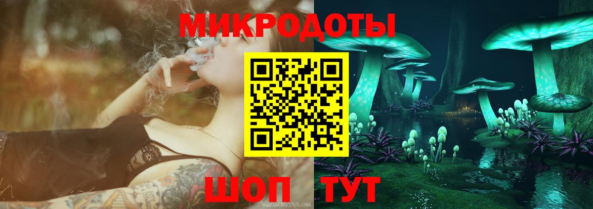 Галлюциногенные грибы Psilocybine cubensis Североморск