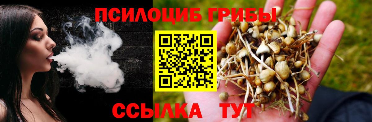 Псилоцибиновые грибы мухоморы Североморск