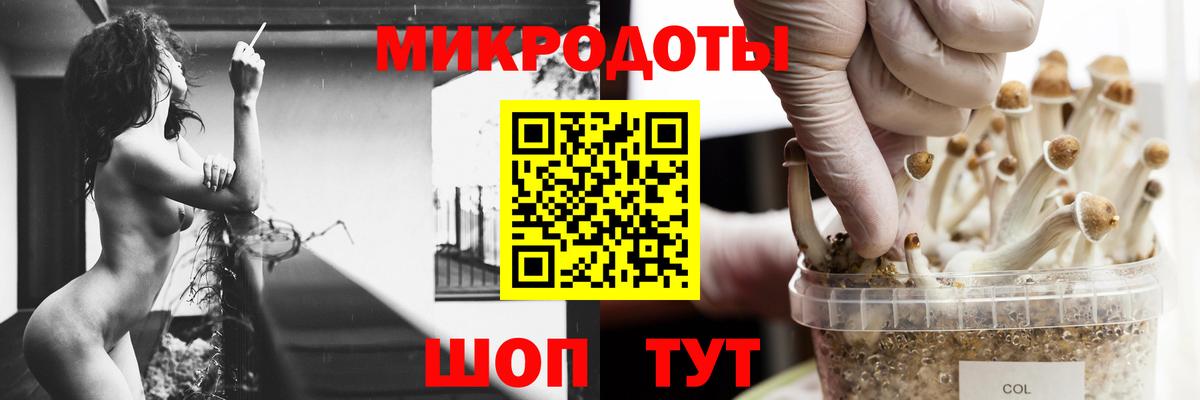 Псилоцибиновые грибы Magic Shrooms  Вход с VPN  Североморск  Галлюциногенные грибы GOLDEN TEACHER 