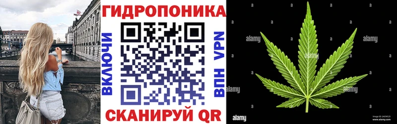 цена   Североморск  Бошки Шишки VHQ 